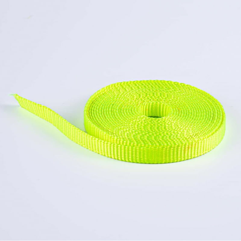 1.5cm Polyester Pet Training Leash With Double-Sided Lockstitch Webbing